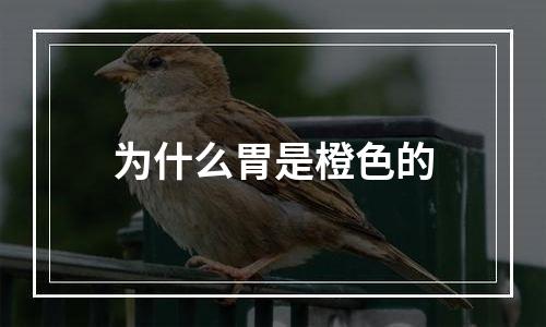 为什么胃是橙色的