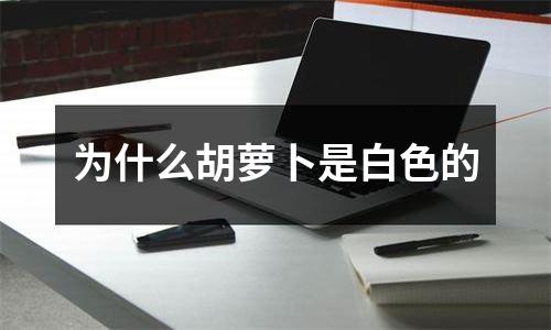 为什么胡萝卜是白色的