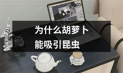 为什么胡萝卜能吸引昆虫