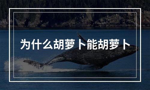 为什么胡萝卜能胡萝卜