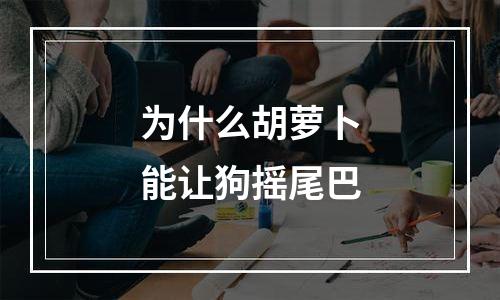 为什么胡萝卜能让狗摇尾巴