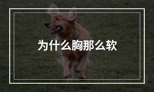 为什么胸那么软