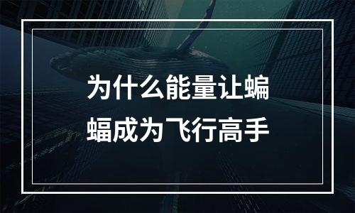 为什么能量让蝙蝠成为飞行高手