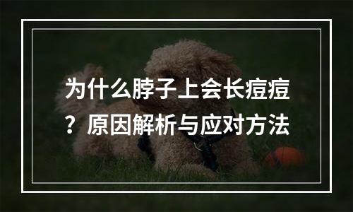 为什么脖子上会长痘痘？原因解析与应对方法