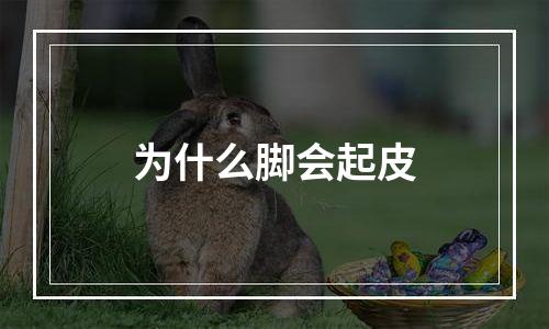 为什么脚会起皮