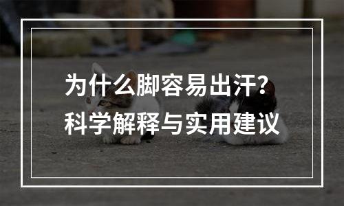 为什么脚容易出汗？科学解释与实用建议