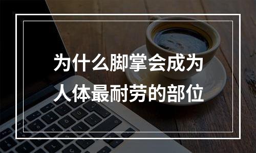 为什么脚掌会成为人体最耐劳的部位
