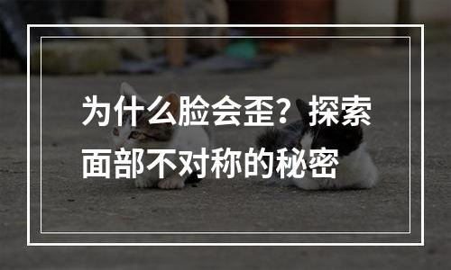 为什么脸会歪？探索面部不对称的秘密