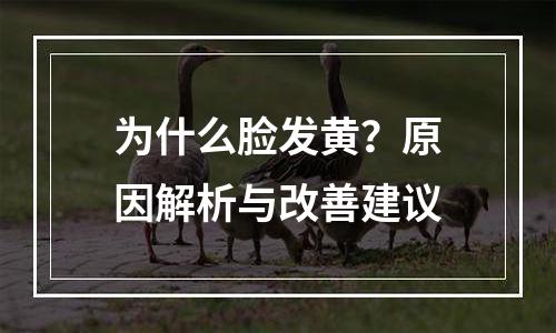 为什么脸发黄？原因解析与改善建议