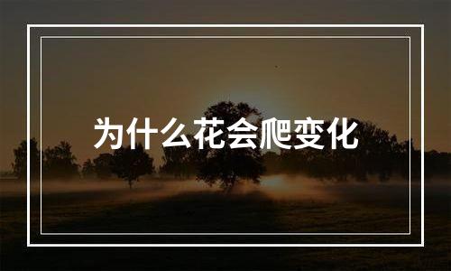 为什么花会爬变化