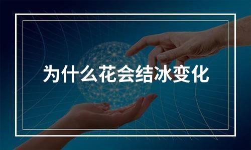 为什么花会结冰变化
