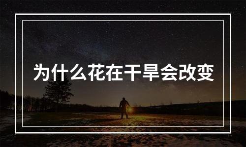 为什么花在干旱会改变
