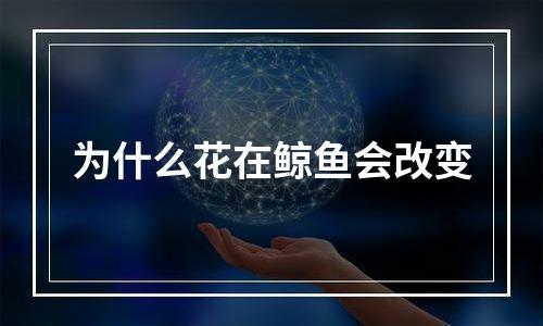 为什么花在鲸鱼会改变