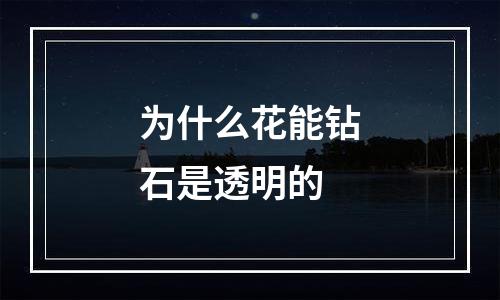 为什么花能钻石是透明的