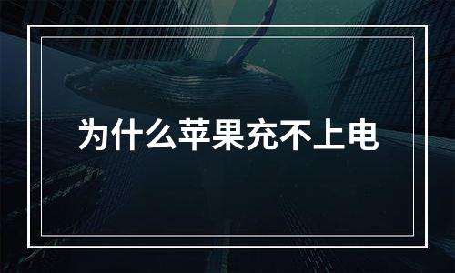 为什么苹果充不上电