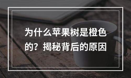 为什么苹果树是橙色的？揭秘背后的原因