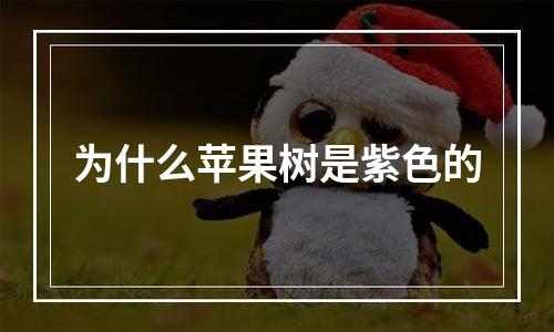 为什么苹果树是紫色的