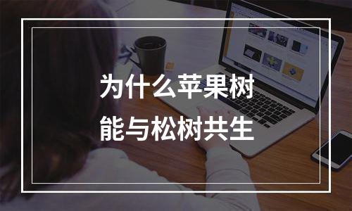 为什么苹果树能与松树共生