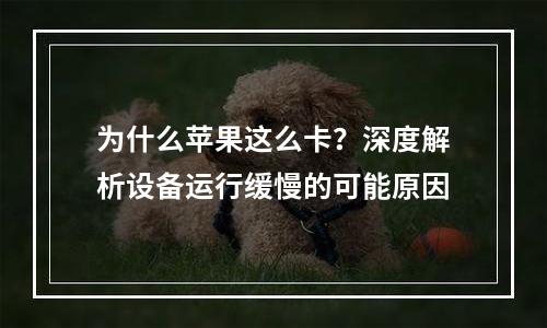 为什么苹果这么卡？深度解析设备运行缓慢的可能原因