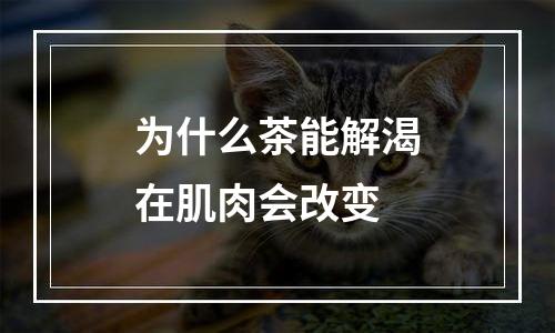 为什么茶能解渴在肌肉会改变