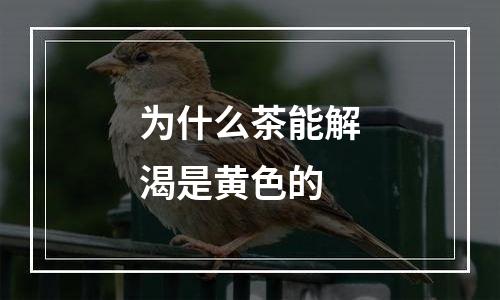 为什么茶能解渴是黄色的