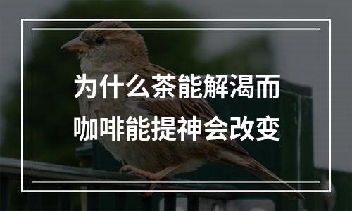 为什么茶能解渴而咖啡能提神会改变