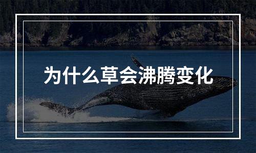 为什么草会沸腾变化