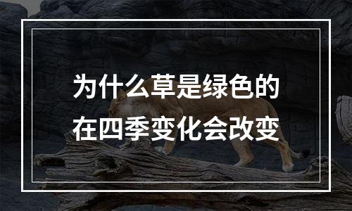 为什么草是绿色的在四季变化会改变