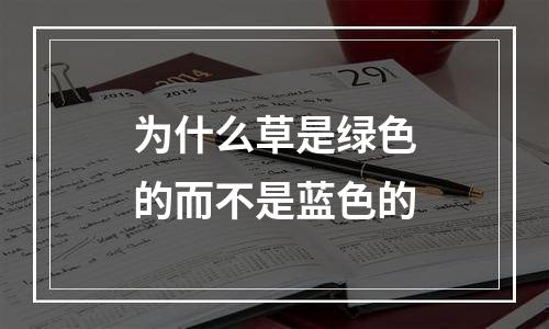 为什么草是绿色的而不是蓝色的