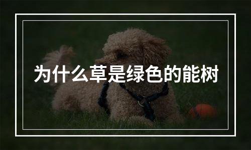 为什么草是绿色的能树