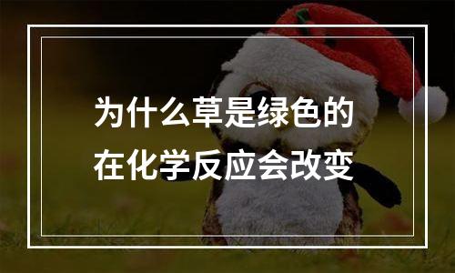 为什么草是绿色的 在化学反应会改变