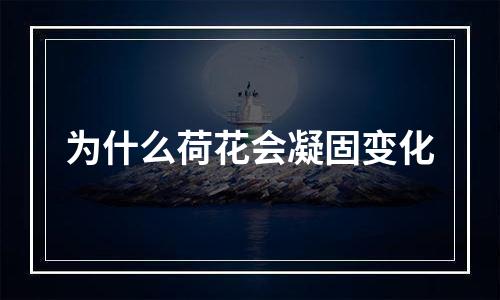 为什么荷花会凝固变化