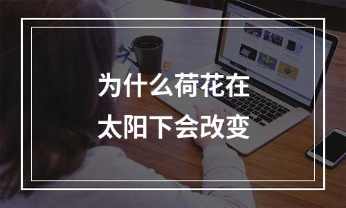 为什么荷花在太阳下会改变