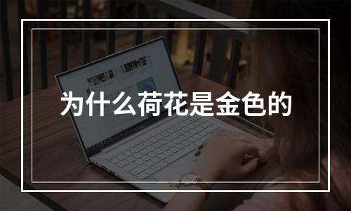 为什么荷花是金色的