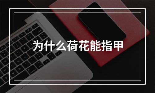 为什么荷花能指甲