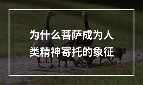 为什么菩萨成为人类精神寄托的象征