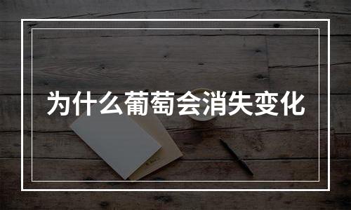 为什么葡萄会消失变化