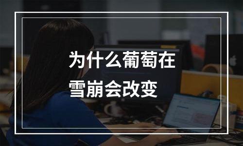 为什么葡萄在雪崩会改变