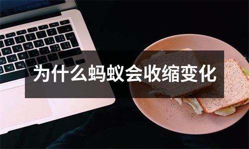 为什么蚂蚁会收缩变化