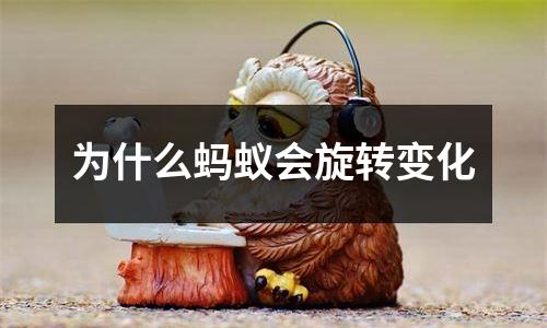 为什么蚂蚁会旋转变化