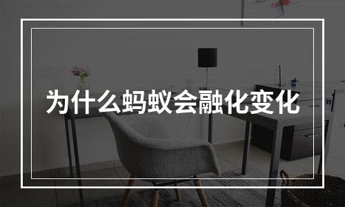为什么蚂蚁会融化变化