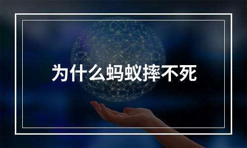 为什么蚂蚁摔不死