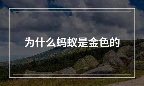 为什么蚂蚁是金色的