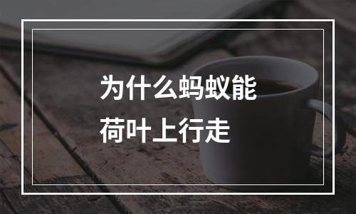 为什么蚂蚁能荷叶上行走