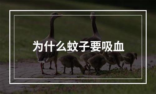 为什么蚊子要吸血