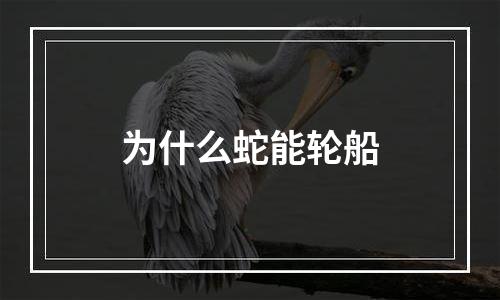 为什么蛇能轮船