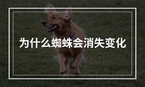为什么蜘蛛会消失变化
