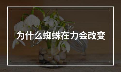 为什么蜘蛛在力会改变