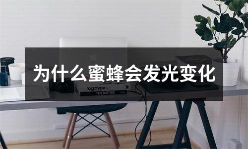 为什么蜜蜂会发光变化