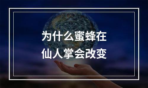 为什么蜜蜂在仙人掌会改变